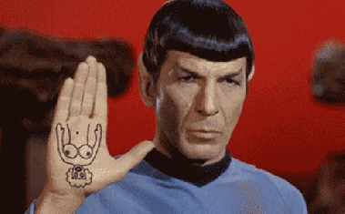 ¿Cuántas veces salís a pasear el chucho? Spock-1